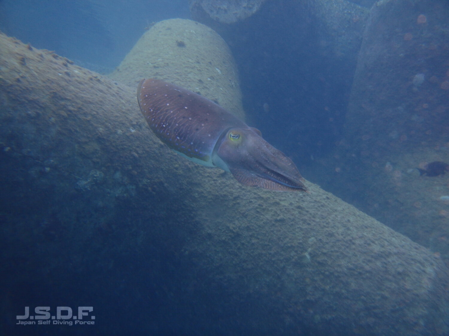 P2070363.jpg?bwg=1642572109