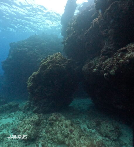 Screenshot 21