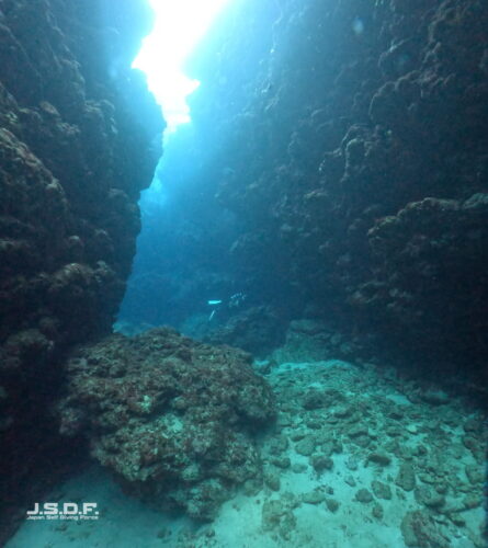 Screenshot 22