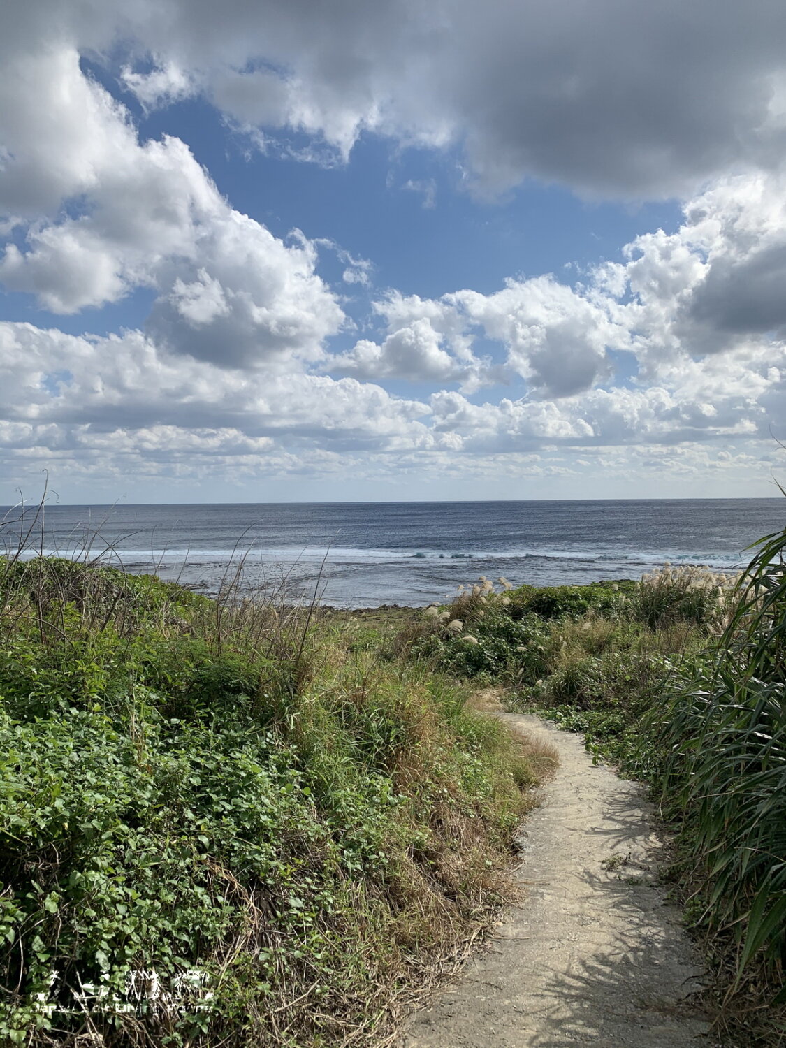 荒崎海岸から水彩画（額装済み） 荒崎海岸から水彩画（額装済み） 荒崎海岸から水彩画（額装済み